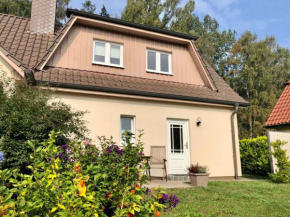 Am Küstenwald in Wustrow